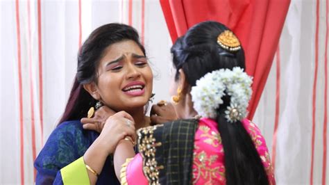 Watch Sembaruthi Tv Serial 5th December 2019 Full Episode 652 Online On Zee5
