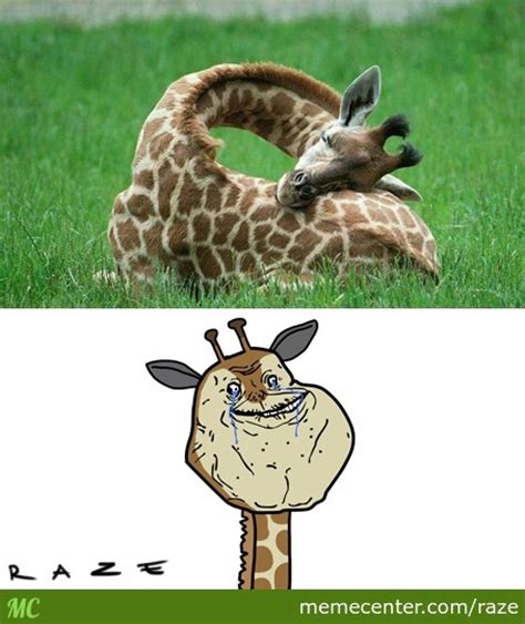 Fat Giraffe Memes Best Collection Of Funny Fat Giraffe