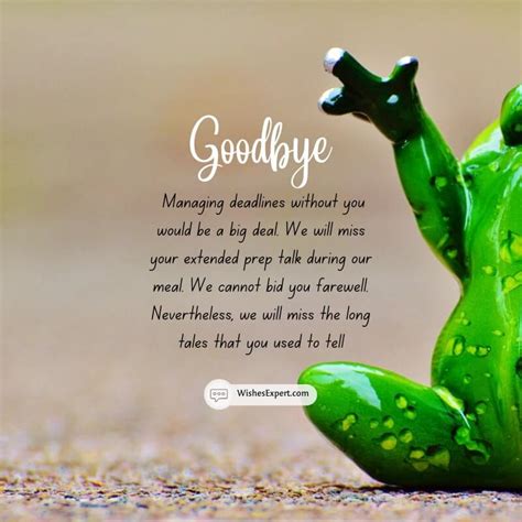 Funny Farewell Messages And Quotes
