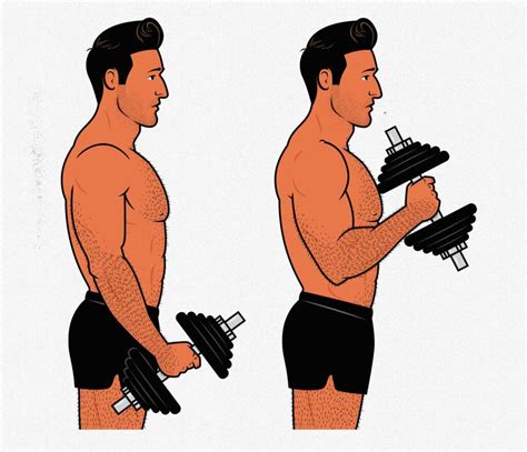 Forearm Training How To Build Bigger Forearms