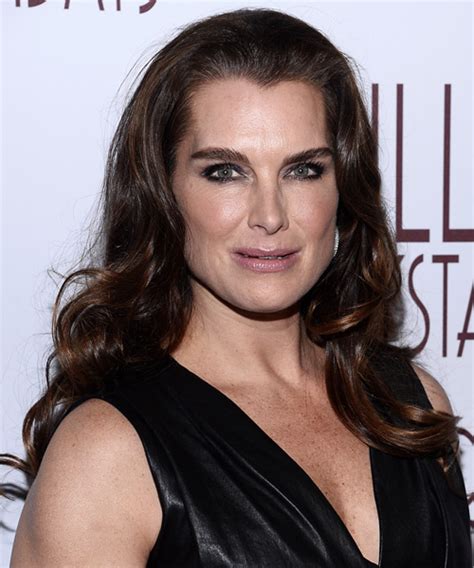 Brooke Shields Best Hairstyles And Haircuts Celebrities