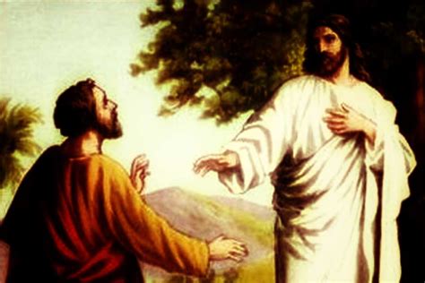 Jesús Otra Vez Predice La Negación De Pedro Alianza Cristiana De