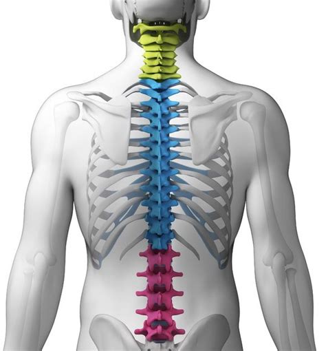 Everything You Should Know About Spinal Compression Fractures