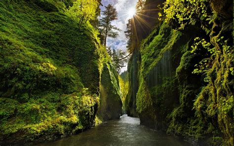 512037 Nature Landscape Oregon Waterfall Moss Forest Mist Sunrise Usa