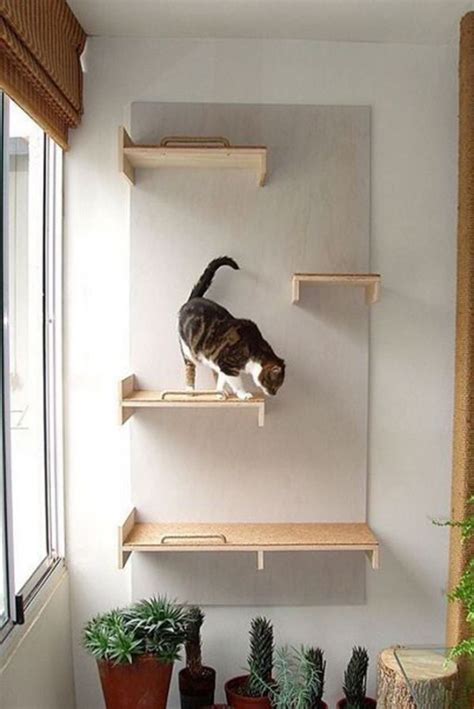 30 Modern Diy Cat Playground Ideas In Your Interior Home Design And