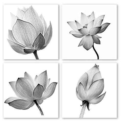 Unframed print wall decor flower vegetable packet retro poster. Black and White Flower Pictures: Amazon.com