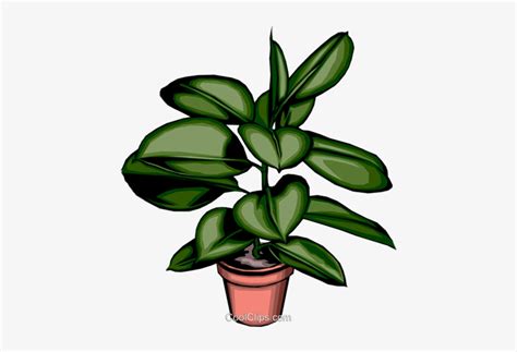 Potted Plant Plant Clip Art Transparent Png 438x480 Free Download