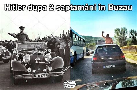 Savannah pink parfait rex hyb. Hitler dupa 2 saptamani în Buzau | Poze haioase 2014