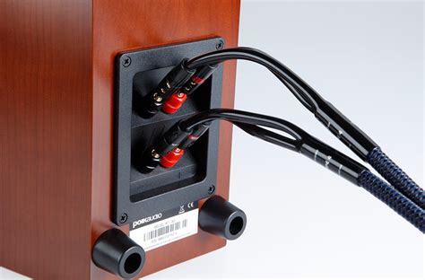 Kipufogó Század Kupola Bi Wiring Speakers To Amplifier Nem Is Említve