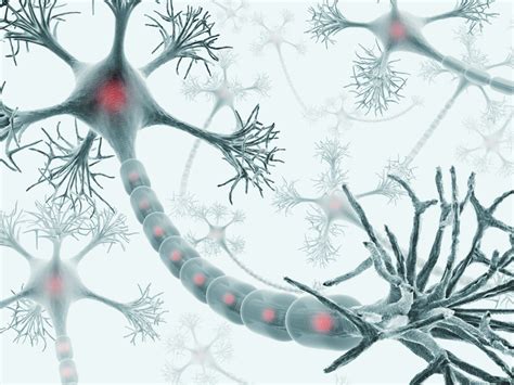 Brytyjscy specjaliści dokonali przełomu w badaniach nad chorobą neuronu