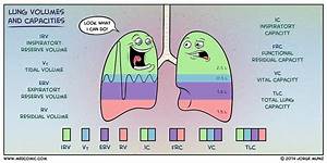 Quot Lung Volumes And Capacities Quot By Medcomic Redbubble