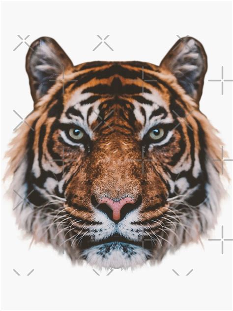 Tiger Face Sticker For Sale By Crittersticker Redbubble