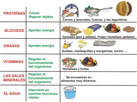 A través de ellos obtenemos las proteínas que dan estructura a nuestras moléculas, las vitaminas que permiten la catalización de los procesos fisiológicos y los carbohidratos que necesitamos para obtener energía. El blog de l@s alumn@s de sexto de Cascante (Navarra): C. Medio Tema 1: La función de nutrición I