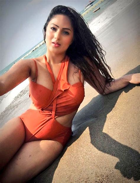 Nikesha Patel Sizzles In Swimsuit Photos Images Gallery 109400
