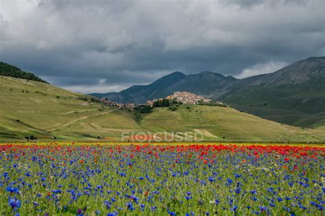 Italy Umbria Perugia Castelluccio Landscape With Field Full Of