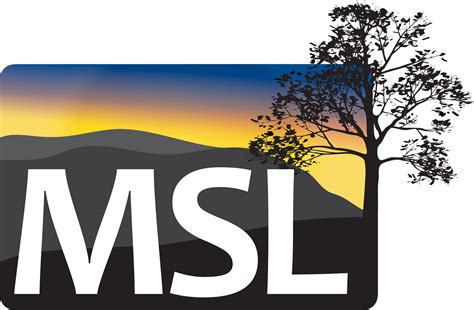 Home Msl Consulting Llc