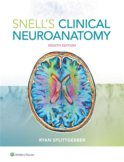 Snell S Clinical Neuroanatomy EBook By Ryan Splittgerber EPUB Book