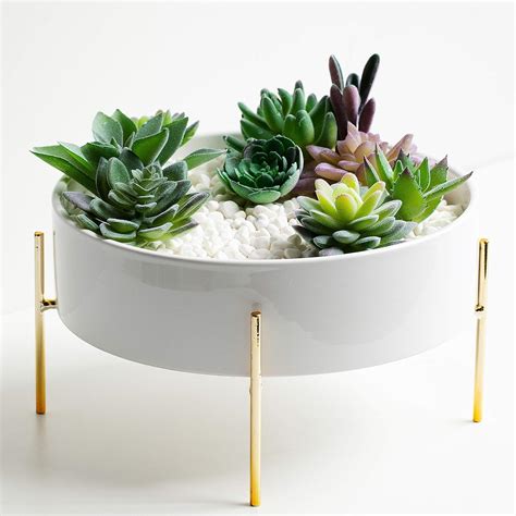 Kimisty 10 Inch Large Round Succulent Planter Bowl With