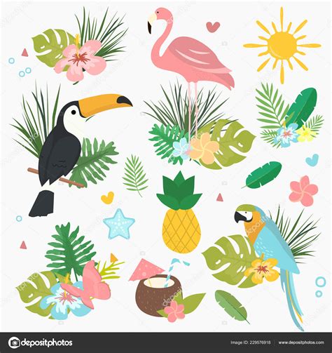 Cartoon Vector Set Exotic Tropical Illustrations Background Wallpaper