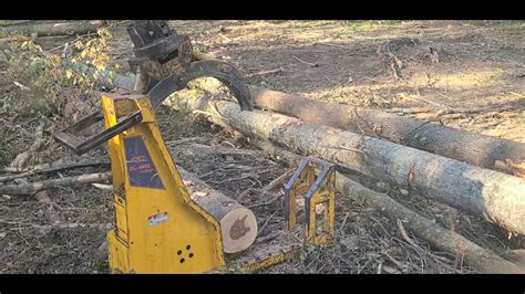 TigerCat 234 Csi Cutting Up Oaks Gum Logs Ttloggingshow Part2