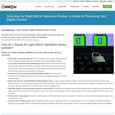 How To Choose A Dmca Takedown Service Provider