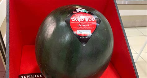 Densuke Watermelon Local Watermelon From Hokkaido Region Japan