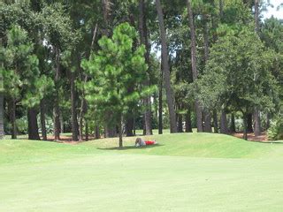 TPC Sawgrass - Players Course (32) | TPC Sawgrass; Golf Chan… | Flickr