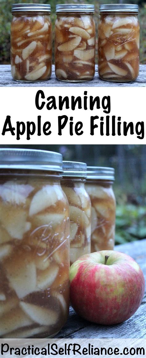 Apple season is in full swing and i've been busy putting away apples so that i can enjoy them all year long. Canning Apple Pie Filling | Recipe | Canning apple pie ...
