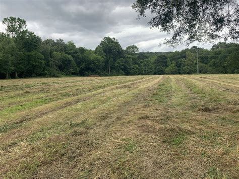 The businesses listed also serve surrounding cities and neighborhoods including orlando fl, apopka fl, and sorrento fl. land clearing services near me in chattanooga, Dalton ...
