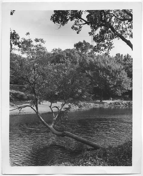 Photograph Of Turtle Creek The Portal To Texas History