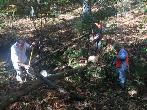 Stewardship Through Native Plant Rescue Brightwater Homes