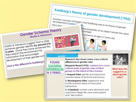 Psychological Explanations Gender Aqa Psychology Teaching Resources