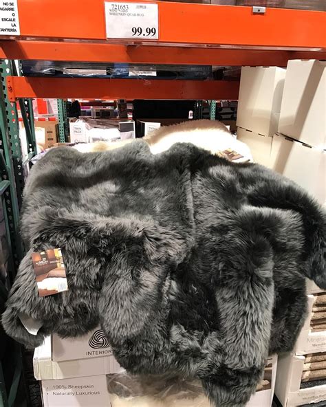 Genuine xxl sheepskin rug / throw, icelandic, real natural white, free shipping. Sheep skin rugs! $99! If you can find these at your # ...