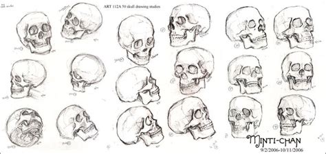 Art112a Skull Study Anatomía Referencias