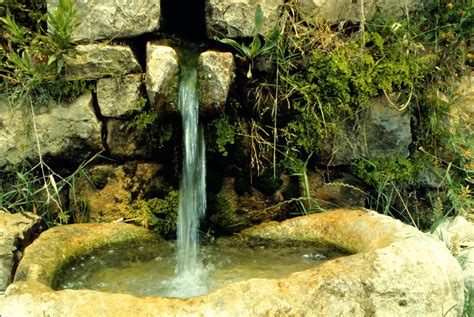 Gallery For Spring Water Source