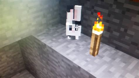 Minecraft Baby Bunny Is Dead Youtube