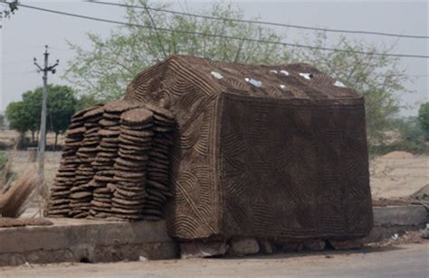 Yanking the entire mushroom out of the ground. Cow Poop House (India) - Travellerspoint Travel Photography