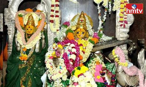 బాసరలో వైభవంగా వసంత పంచమి వేడుకలు Vasantha Panchami Celebrations In