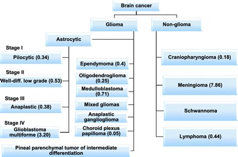 Understanding Brain Tumors