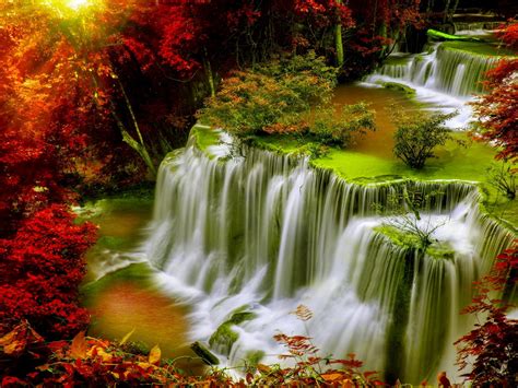 Cascade Falls Autumn Forest Red Leaves Sunlight Desktop Hd Wallpaper