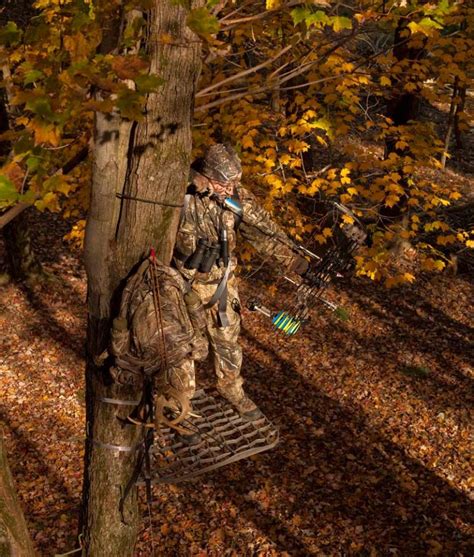 How To Find The Best Tree Stand Locations The Prepper Journal