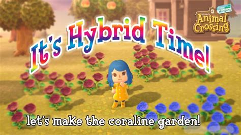 🔴acnh Live Lets Make The Coraline Garden Animal Crossing New