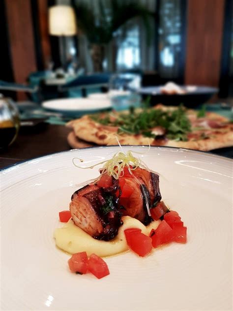 Boil the potatoes until tender, drain them, and save some of the cooking water. "Grilled Octopus With Orange Potato And Salmoriglio", The ...