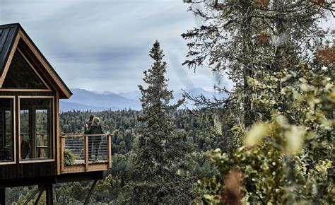 Princess Cruises Opens Unique Treehouse At The Mount Mckinley