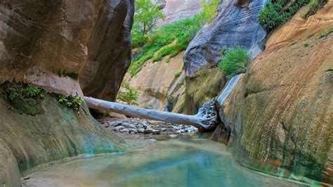 Zion National Park Wallpapers Hd Desktop And Mobile