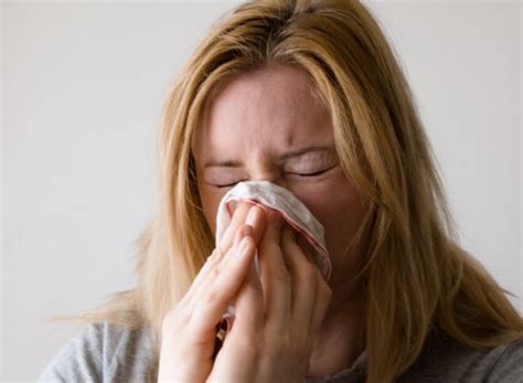 Alergia Rodzaje I Objawy Alergia Strefa Wiedzy Strefawitalnosci