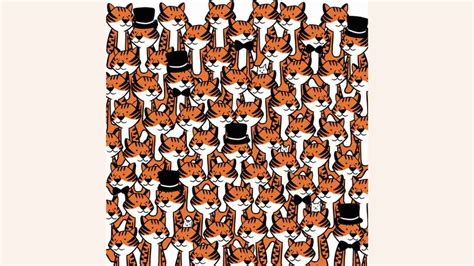 Optical Illusion Can You Find Four Hidden Cats In 11 Seconds