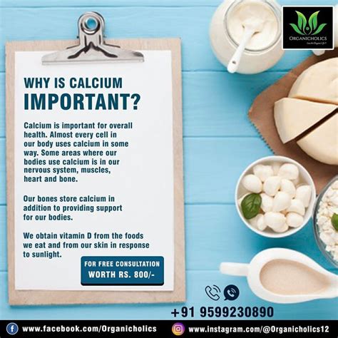 calcium is one of the most important minerals for the human body it helps form and maintain