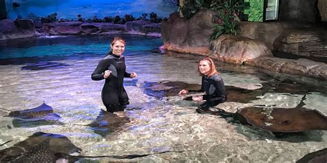 Ripleys Aquarium Myrtle Beach Featured In New Nbc Show