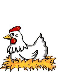 Chicken Animated Pictures Clipart Best